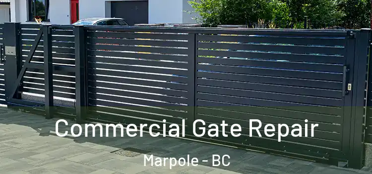  Commercial Gate Repair Marpole - BC