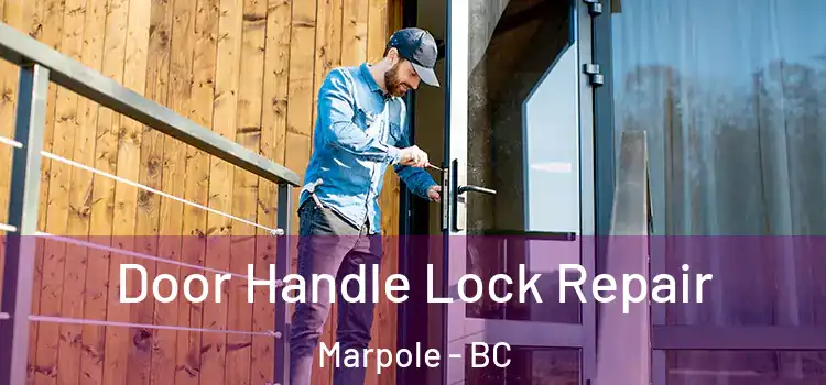  Door Handle Lock Repair Marpole - BC