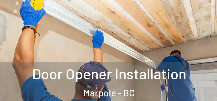  Door Opener Installation Marpole - BC