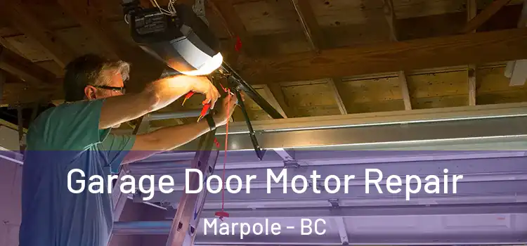  Garage Door Motor Repair Marpole - BC