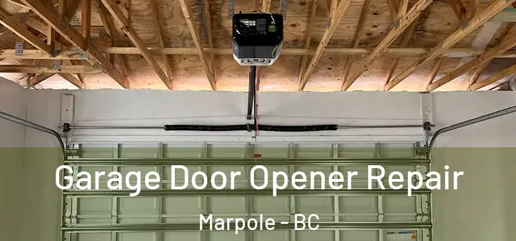 Garage Door Opener Repair Marpole - BC