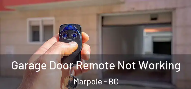  Garage Door Remote Not Working Marpole - BC