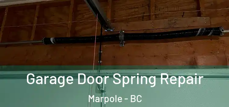  Garage Door Spring Repair Marpole - BC