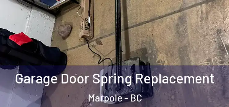  Garage Door Spring Replacement Marpole - BC