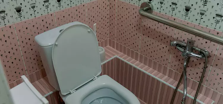Meeting Diverse Needs With Accessible Restroom Solutions in Marpole, BC