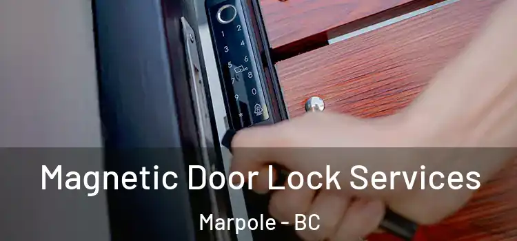 Magnetic Door Lock Services Marpole - BC